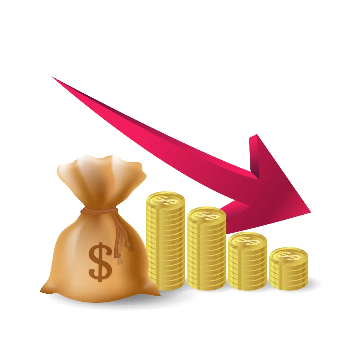 Icon of coins and a bag with the dollar sign representing affordable prices