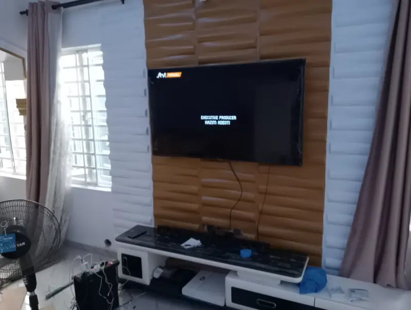 a picture of a modern living room with an installed television on the living room wall